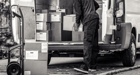 Domestic Shipping